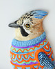 kolorowanki dla dzieci Portraitt of a jay named Steve 4
