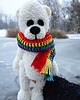 misie i maskotki Biały miś w tęczowym szaliku LGBT, przytulanka 9