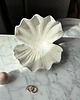 pojemniki na biżuterię Ceramiczna Muszla Muszelka Skarbiec z Perłą na Biżuterię Biała 4