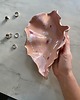 pojemniki na biżuterię Podstawka na Biżuterię Ceramiczna Muszelka Muszla Perłowa 5