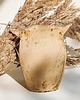 figurki i rzeźby Ceramiczna sowa dekoracyjna 2