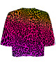 t-shirt damskie DR.CROW T-shirt Krótki CROP Multicolor Leopard 1