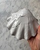 pojemniki na biżuterię Ceramiczna Podstawka na Biżuterię Muszla Skarbiec Dalmatyńczyk 4