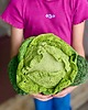 zabawki - inne Szydełkowa kapusta - duża 30 cm 1