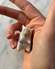 figurki i rzeźby Ceramiczna Figurka Owieczka Kolekcjonerskie Miniaturowe Figurki Owca Desk Buddy 4