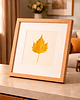 Ozdoby na ścianę Złoty Liść Platan Klonolistny. Autorski Dekor Botaniczny. Obraz 25x25cm 5