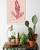 plakaty Plakat botaniczny z rośliną morską Retro 1