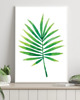 plakaty PLAKAT botaniczny Liść palmy Palma 1