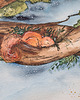 obrazy Oryginał Ilustracja Akwarela 50x70 'Forest' 3
