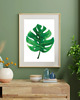 grafiki i ilustracje PLAKAT MONSTERA LIŚCIE BOTANICZNY z monsterą 2