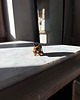 figurki i rzeźby Ceramiczna Figurka Dzik Kolekcjonerskie Miniaturowe Figurki Dzik Desk Buddy 1