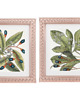 grafiki i ilustracje 2 grafiki botaniczne vintage plakaty roślinne 3