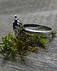 pierścionki - różne Little Leaf Ring 2