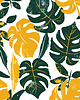 plakaty Plakat - Tropical leaves 2