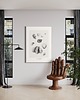 grafiki i ilustracje Muszle   print 50x70 cm 3