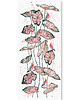 naklejki ścienne do pokoju dziecka Tapeta dla dzieci Różowe Papugi ( Pink Parrot) 2