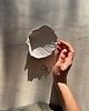 pojemniki na biżuterię Handmade Muszelka na Biżuterię Ceramiczna Rustic White Fluff 4