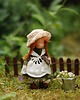 figurki i rzeźby Ania z Zielonego Wzgórza - Waldorf Toys 2