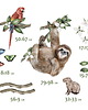 naklejki ścienne do pokoju dziecka Naklejki AMAZONIA SLOTH 2