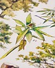 grafiki i ilustracje grafika Arbres (reprint) 2