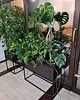 kwietniki Kwietnik Metalowy CUBO 60x80x30cm czarny LOFT 7