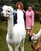 swetry damskie  Alpaka sweter Natalia - Morski 3