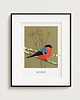 plakaty Plakat Gil Bullfinch 30 x 40 cm 2
