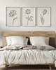 plakaty Zestaw 3 stylowych plakatów w stylu Boho, kwiaty, rośliny, liście, line art. 4