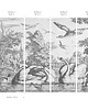 tapety i naklejki ścienne Tapeta White swans 1