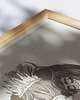 grafiki i ilustracje Ilustracja Confianza 2