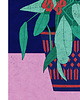 grafiki i ilustracje Begonia flowers art giclee print A3 plakat 1
