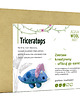 gry edukacyjne dla dzieci Zestaw kreatywny do filcowania: Triceratops. Ufilcuj go sam! 2