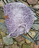 czapki dziecięce Czapka dziecięca merino alpaka farbowana roślinami Kempesz 4