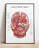 plakaty Plakat Unaczynienie Twarzy 1